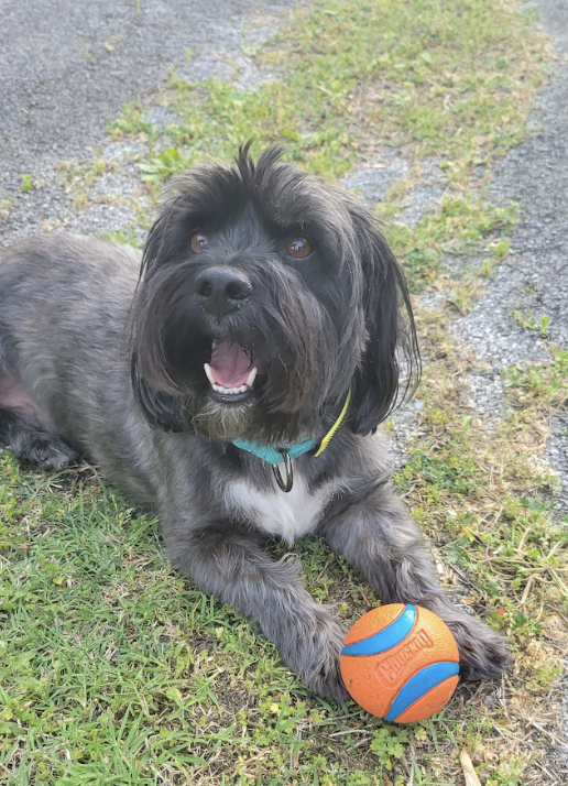 Screenshot 2026-04-22 at 3.57.56 PM.png