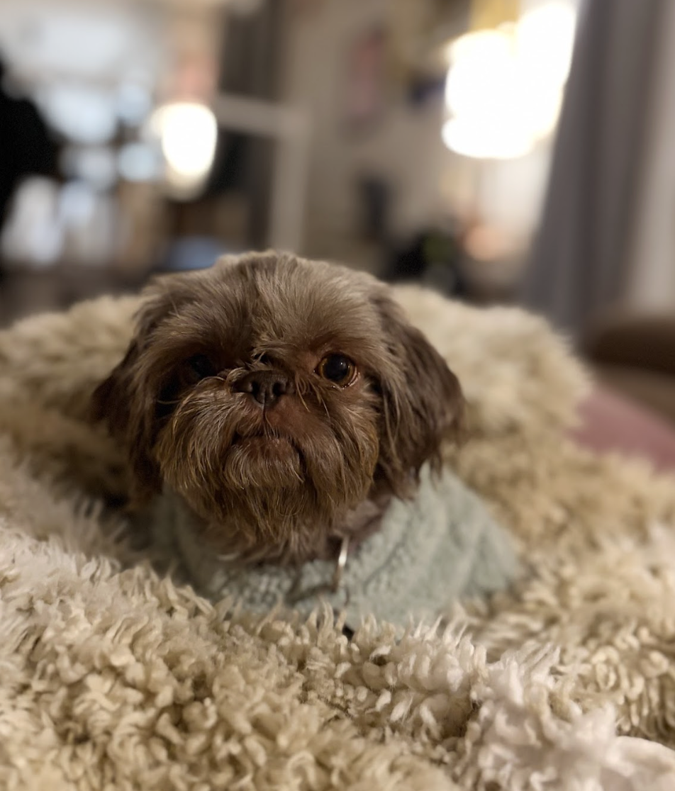 Screenshot 2026-01-26 at 12.18.23 PM.png