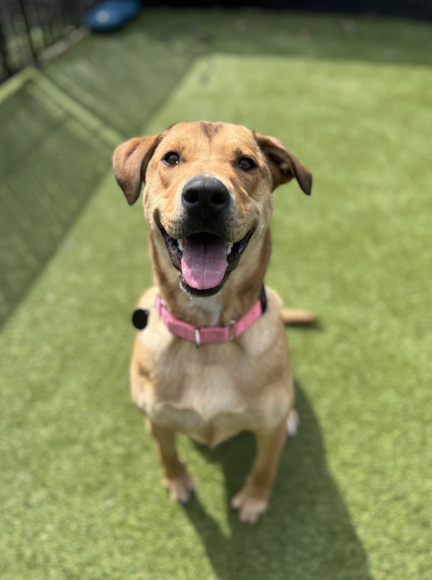 Screenshot 2026-03-14 at 5.06.51 PM.png