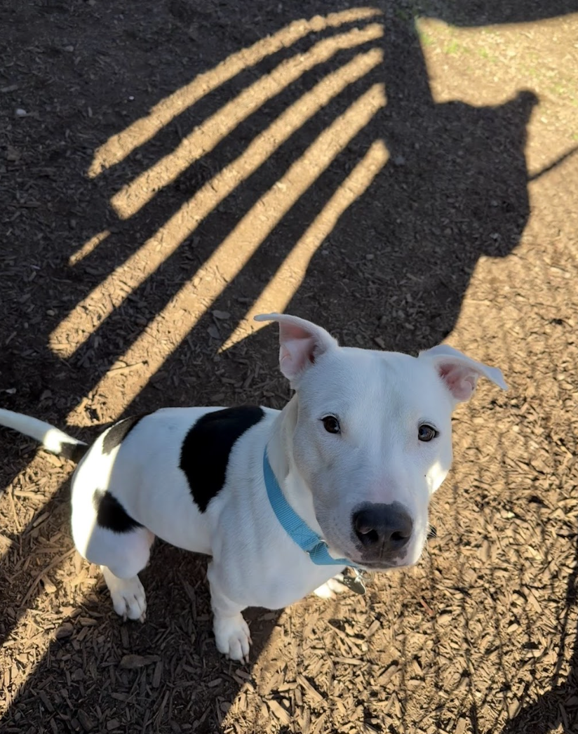 Screenshot 2026-01-14 at 12.29.04 PM.png