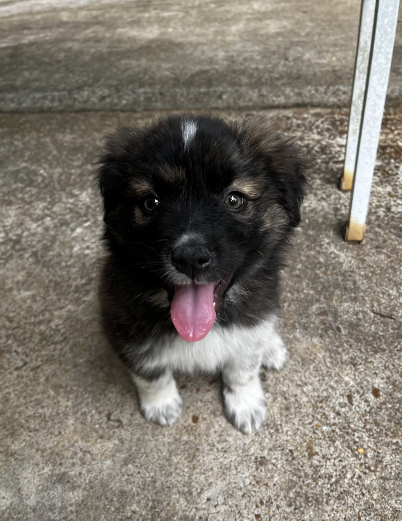 Screenshot 2026-04-23 at 6.52.05 PM.png