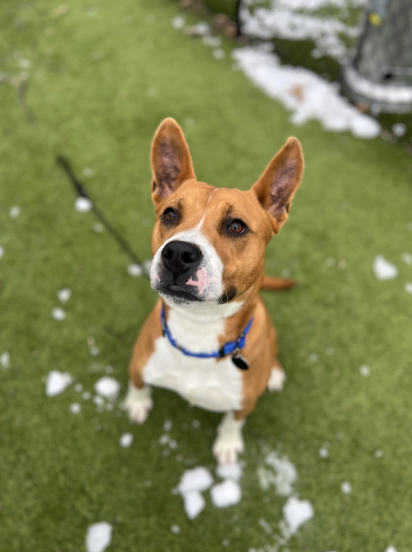 Screenshot 2026-01-30 at 8.04.11 PM.png