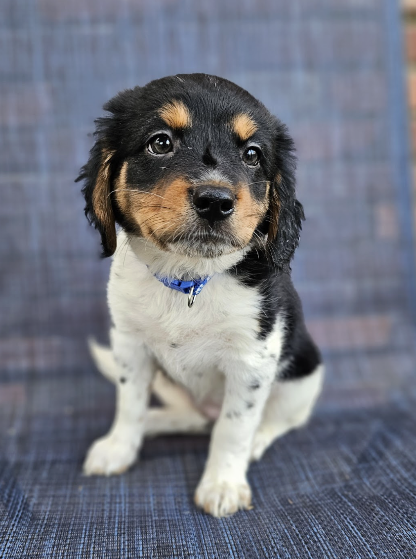 Screenshot 2026-04-03 at 1.00.23 PM.png