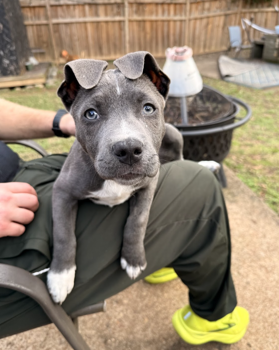 Screenshot 2025-12-26 at 4.58.28 PM.png