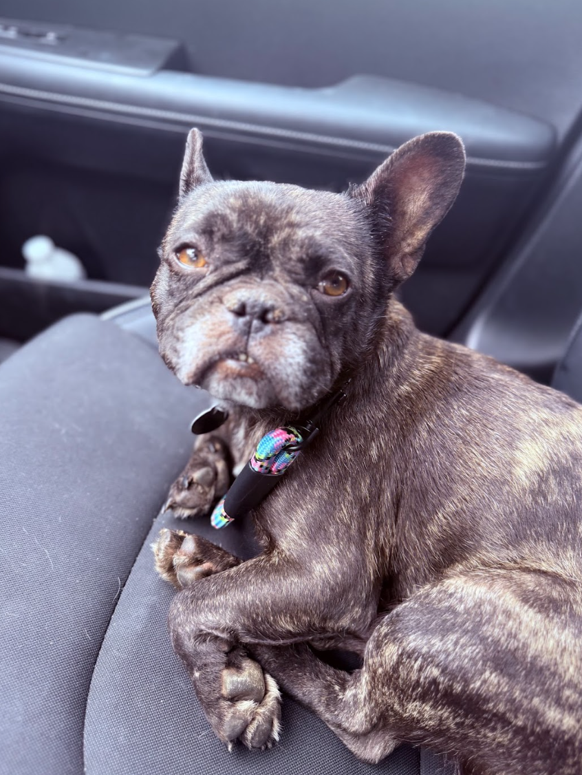 Screenshot 2026-04-20 at 2.51.28 PM.png