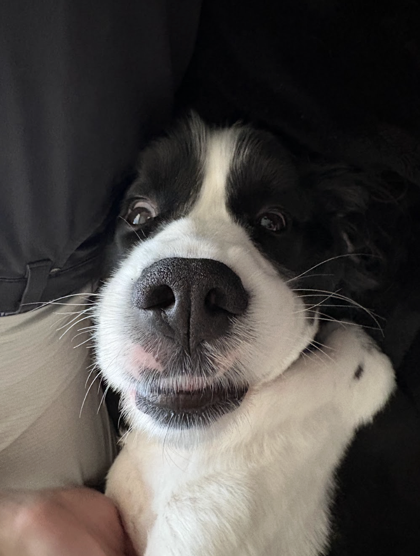 Screenshot 2026-04-06 at 1.15.45 PM.png