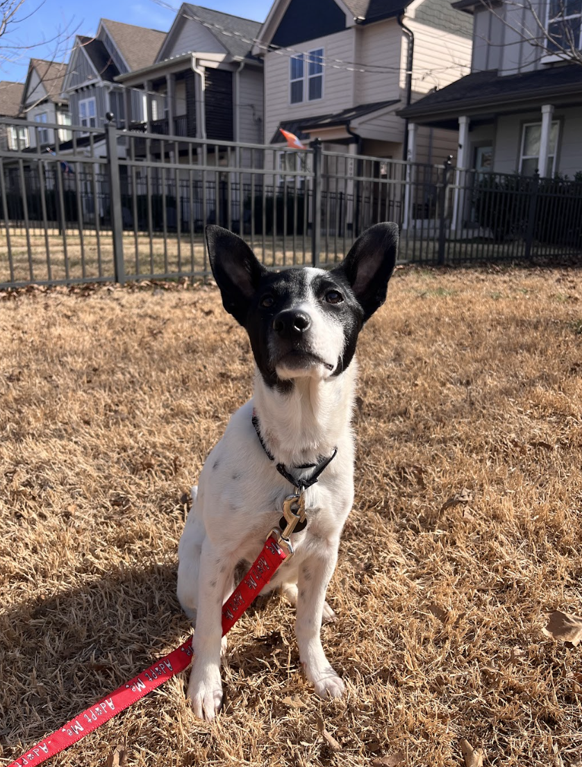 Screenshot 2026-02-13 at 12.59.59 PM.png