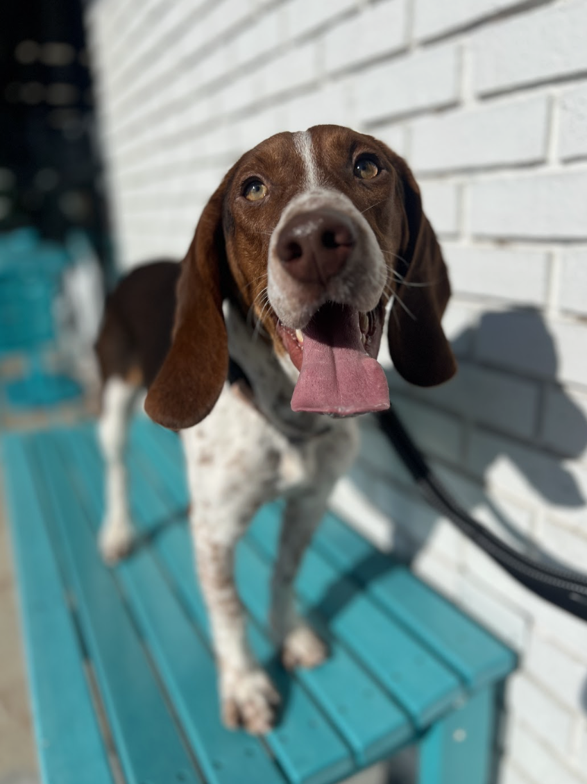 Screenshot 2026-01-08 at 1.56.17 PM.png