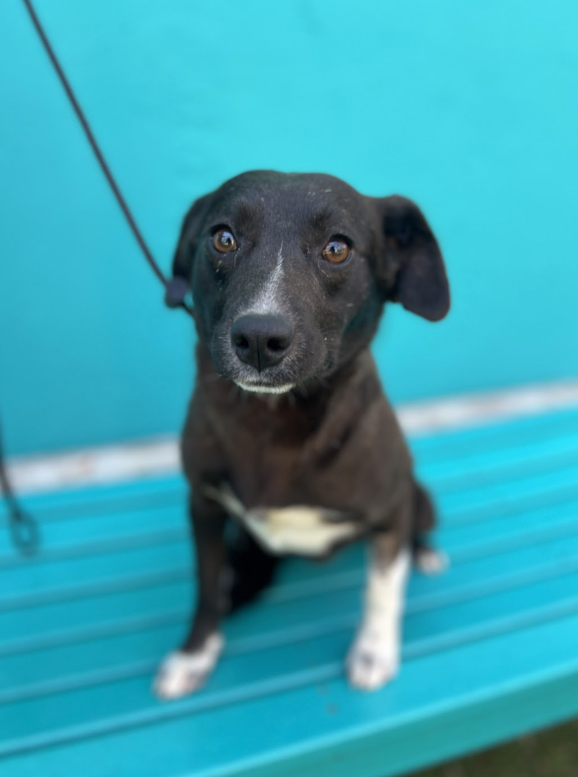 Screenshot 2026-02-12 at 2.03.16 PM.png