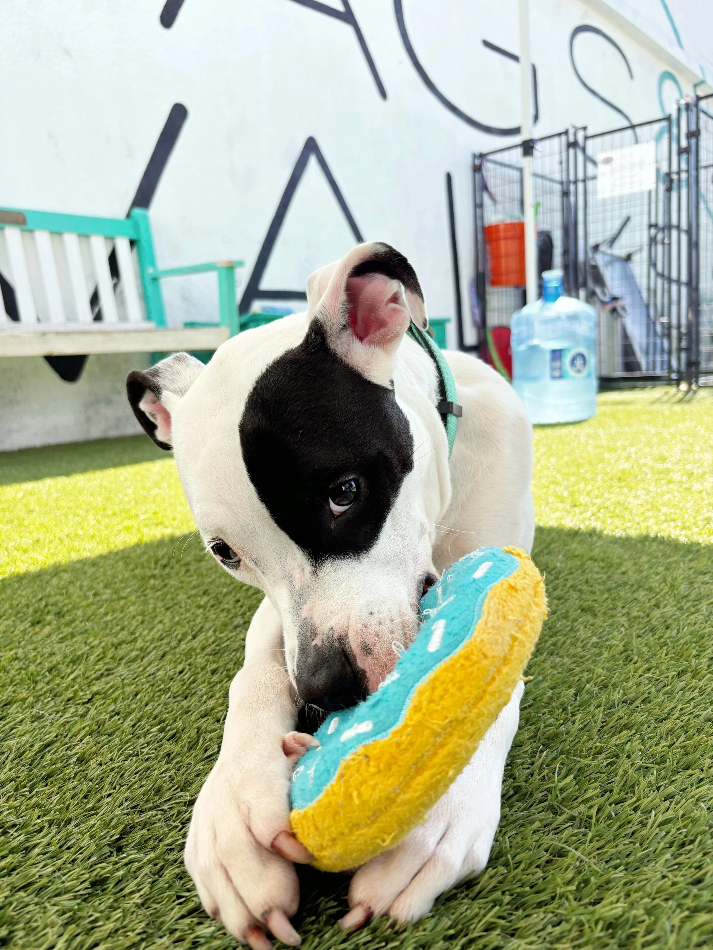 ACS_3037.JPG