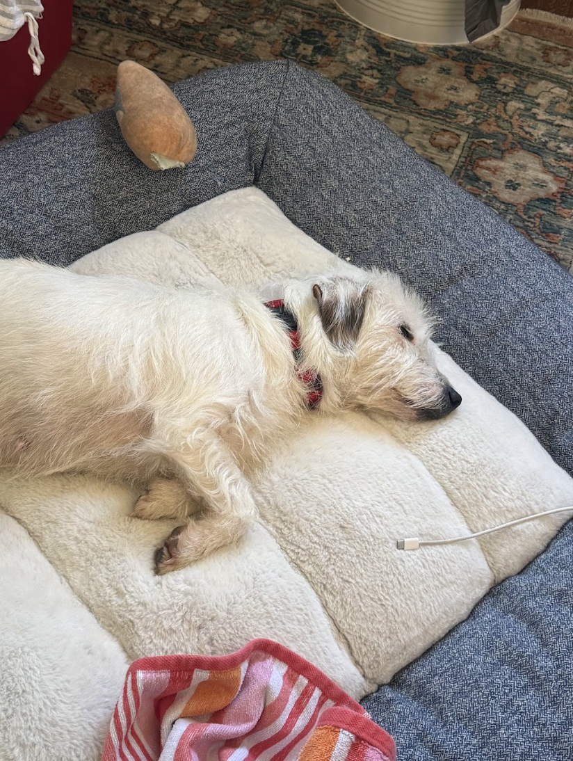 Screenshot 2026-03-21 at 2.18.42 PM.png