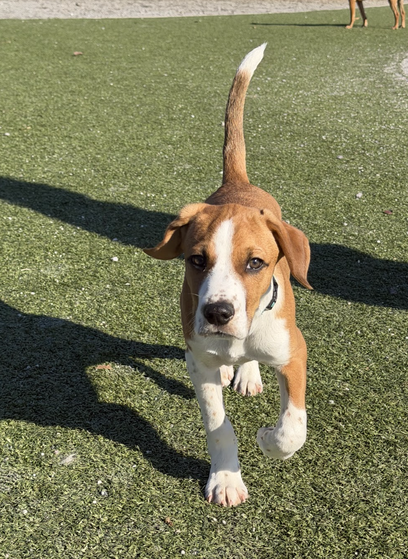 Screenshot 2026-02-13 at 1.23.52 PM.png