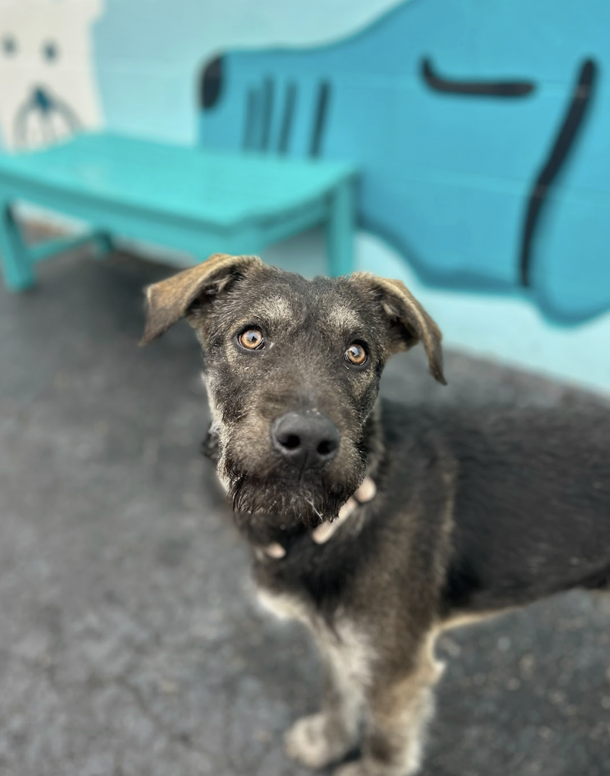 Screenshot 2026-01-14 at 9.24.38 PM.png