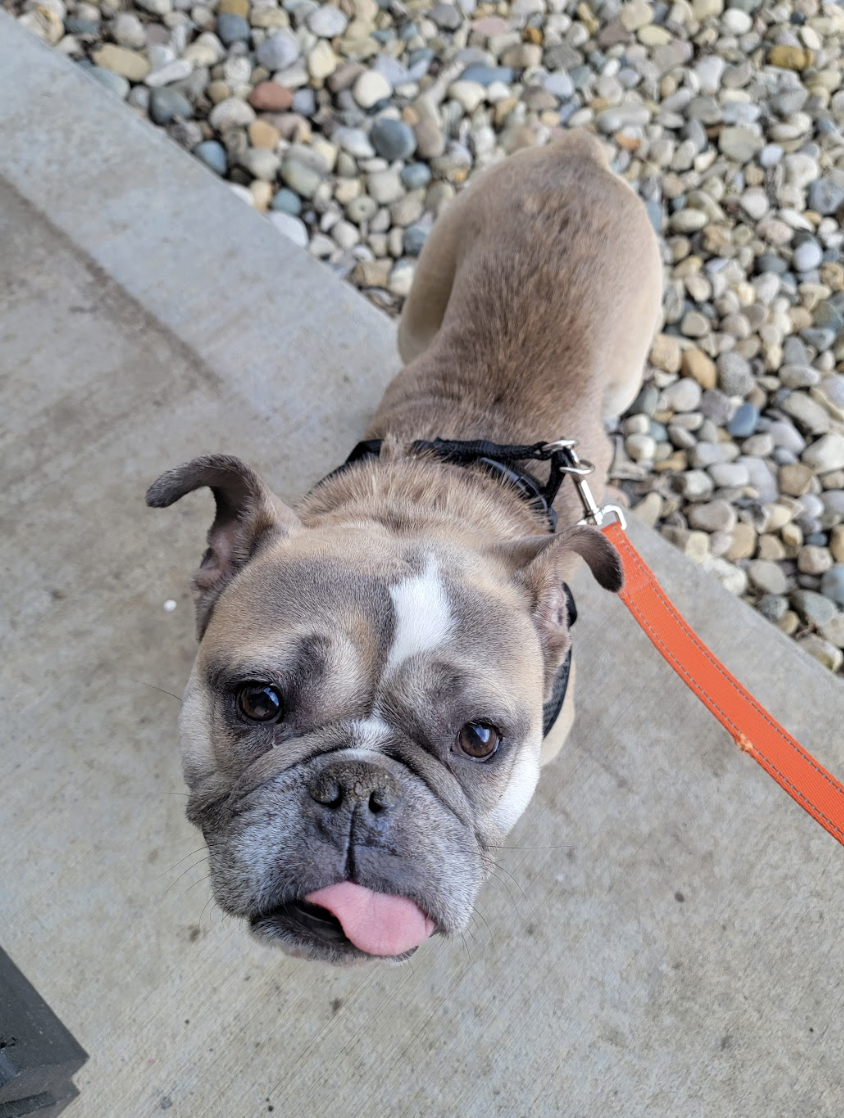 Screenshot 2026-01-14 at 2.29.01 PM.png