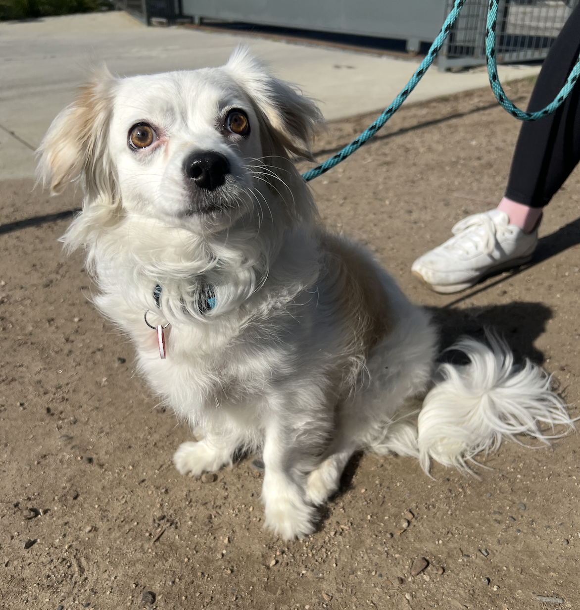 Screenshot 2026-03-24 at 1.48.24 PM.png