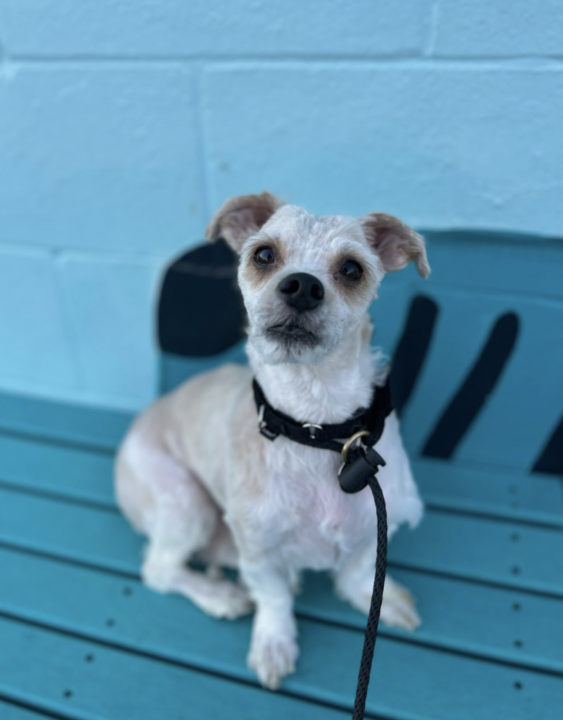 Screenshot 2026-04-16 at 7.09.08 PM.png