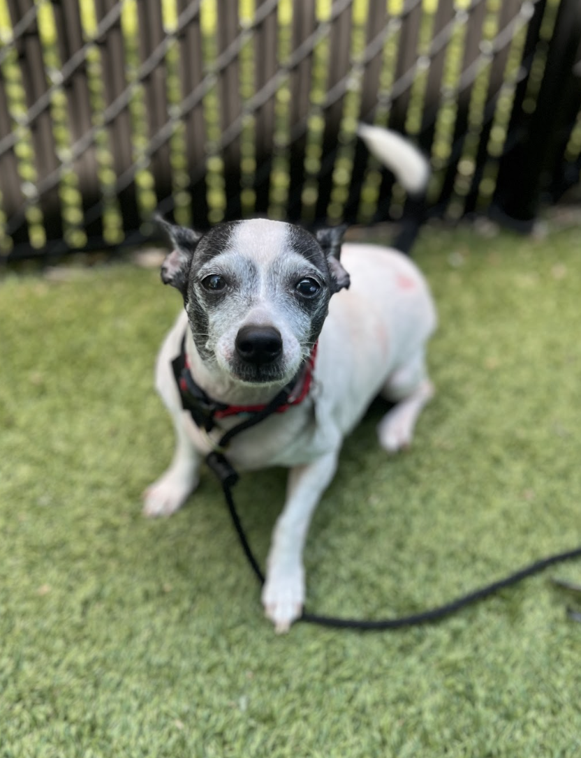 Screenshot 2026-04-10 at 2.44.02 PM.png