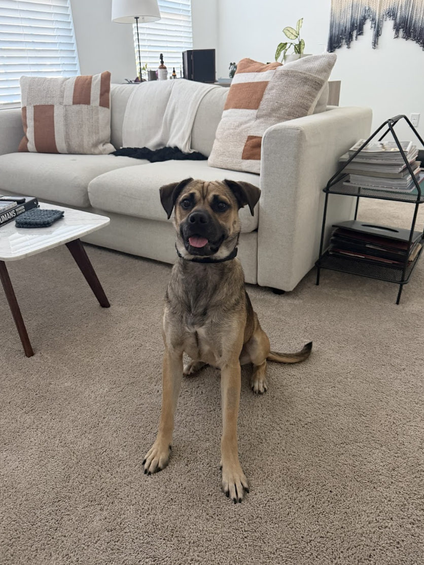 Screenshot 2026-04-22 at 4.33.31 PM.png