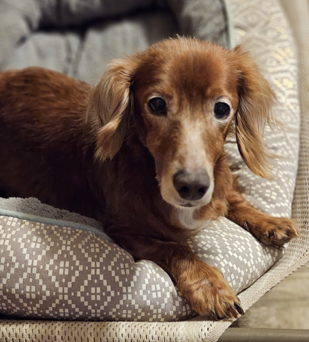 Screenshot 2026-01-28 at 5.08.47 PM.png