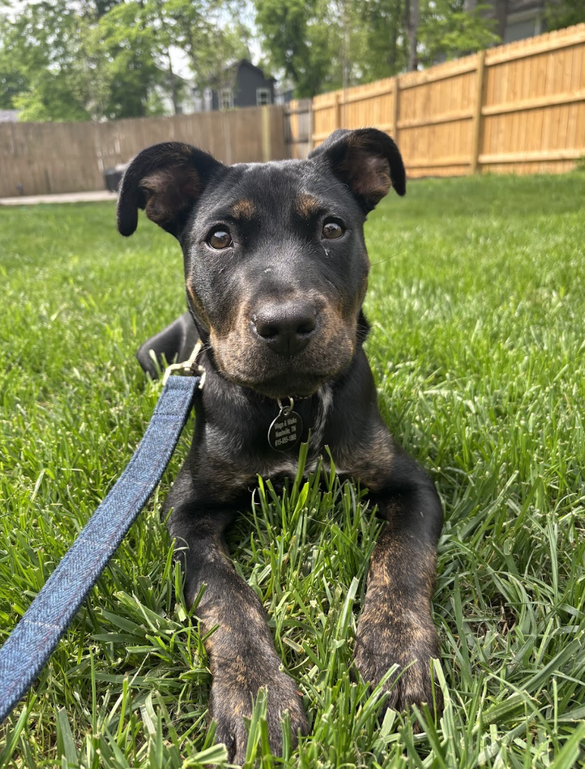 Screenshot 2026-04-23 at 8.12.30 PM.png