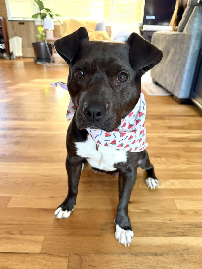 Screenshot 2026-04-22 at 5.52.43 PM.png