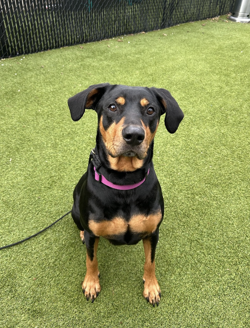 Screenshot 2026-03-11 at 6.37.45 PM.png