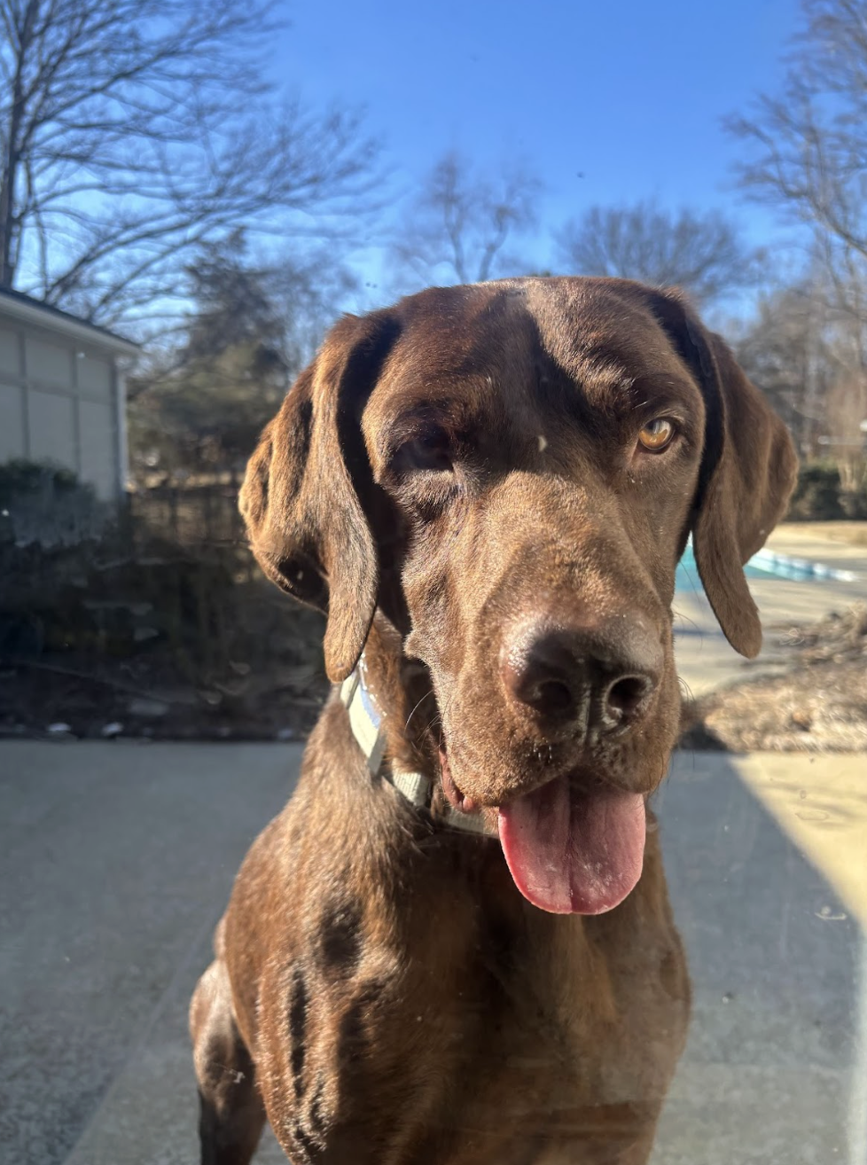 Screenshot 2026-02-16 at 6.14.25 PM.png