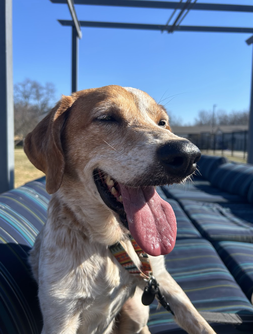 Screenshot 2026-03-11 at 8.37.05 PM.png