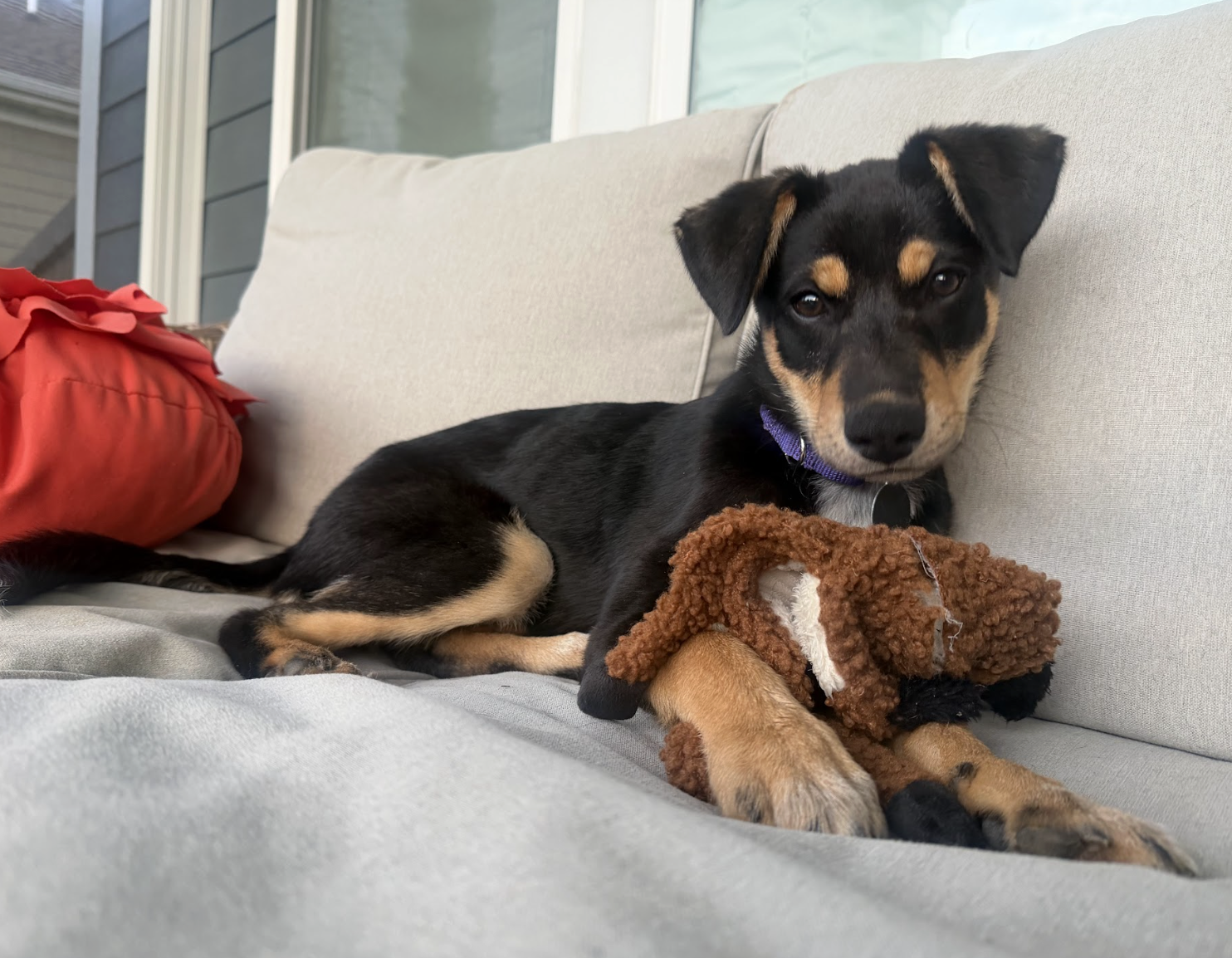 Screenshot 2026-04-20 at 2.44.10 PM.png