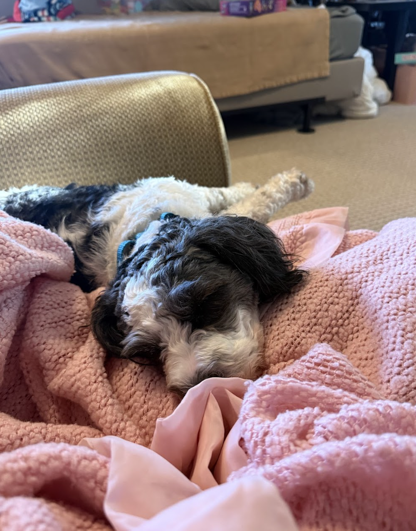 Screenshot 2026-04-22 at 6.04.55 PM.png