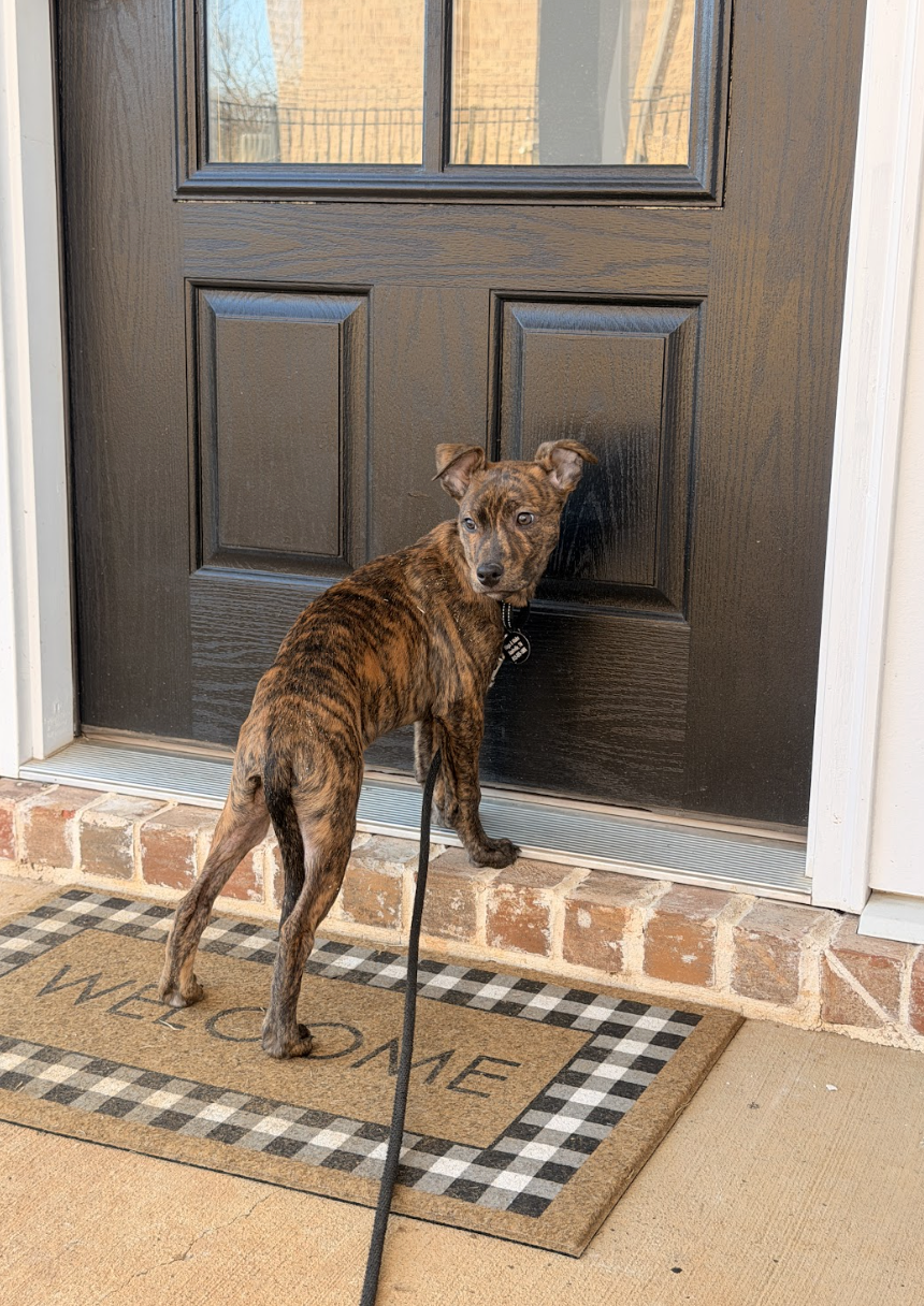 Screenshot 2026-01-14 at 9.21.59 PM.png