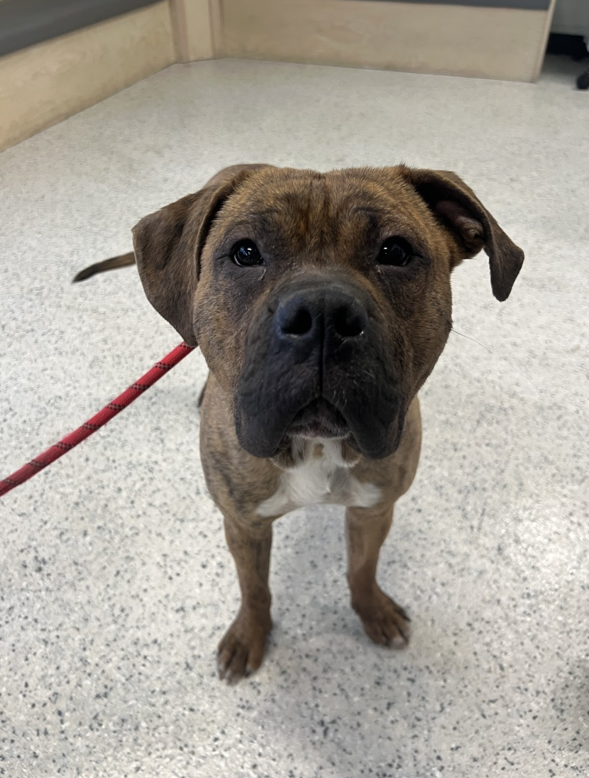 Screenshot 2026-02-26 at 2.19.35 PM.png