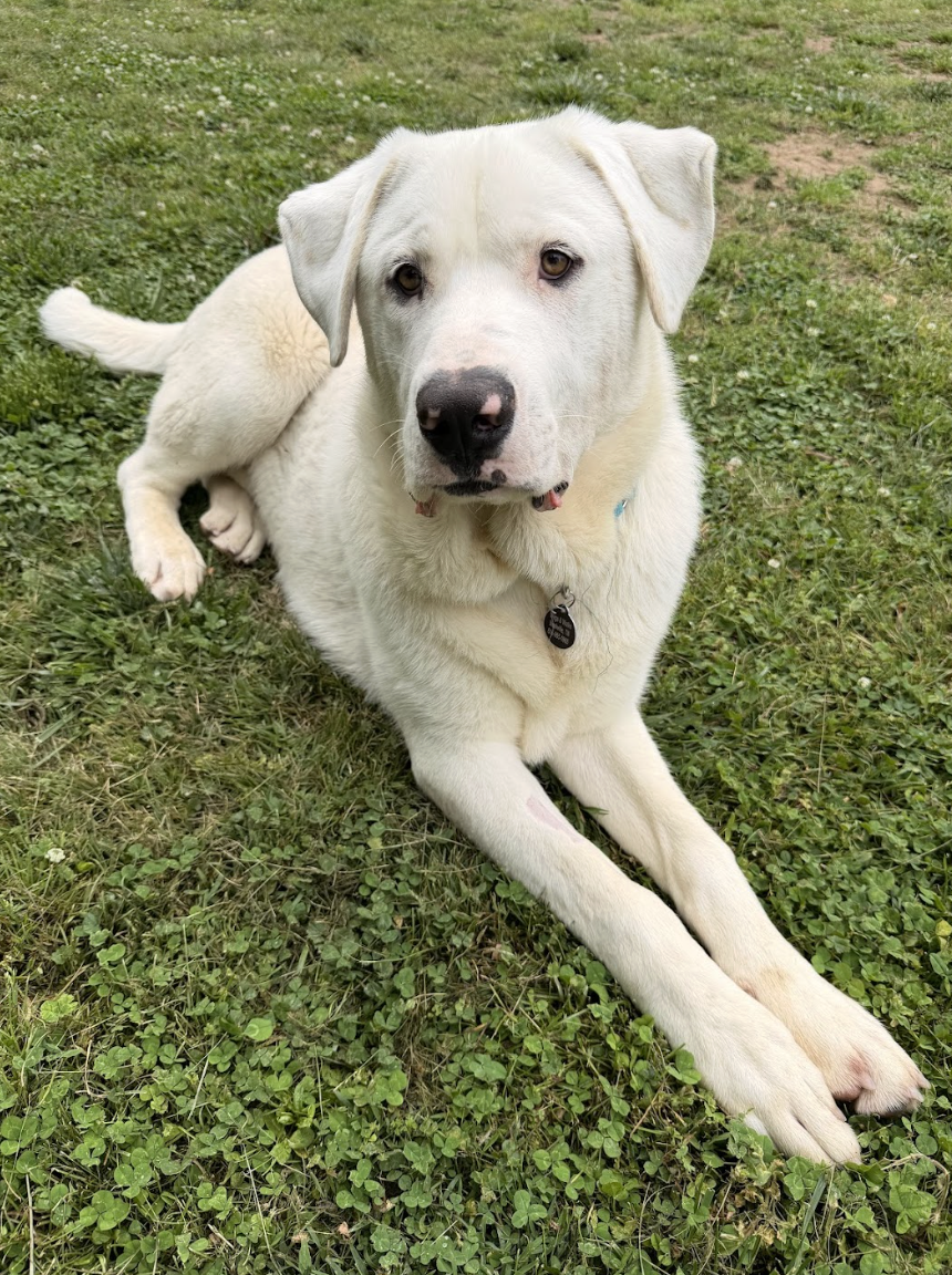 Screenshot 2026-04-14 at 5.23.06 PM.png