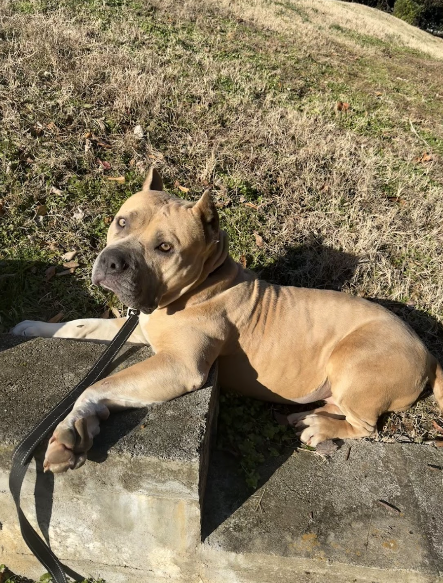 Screenshot 2026-02-27 at 2.36.09 PM.png