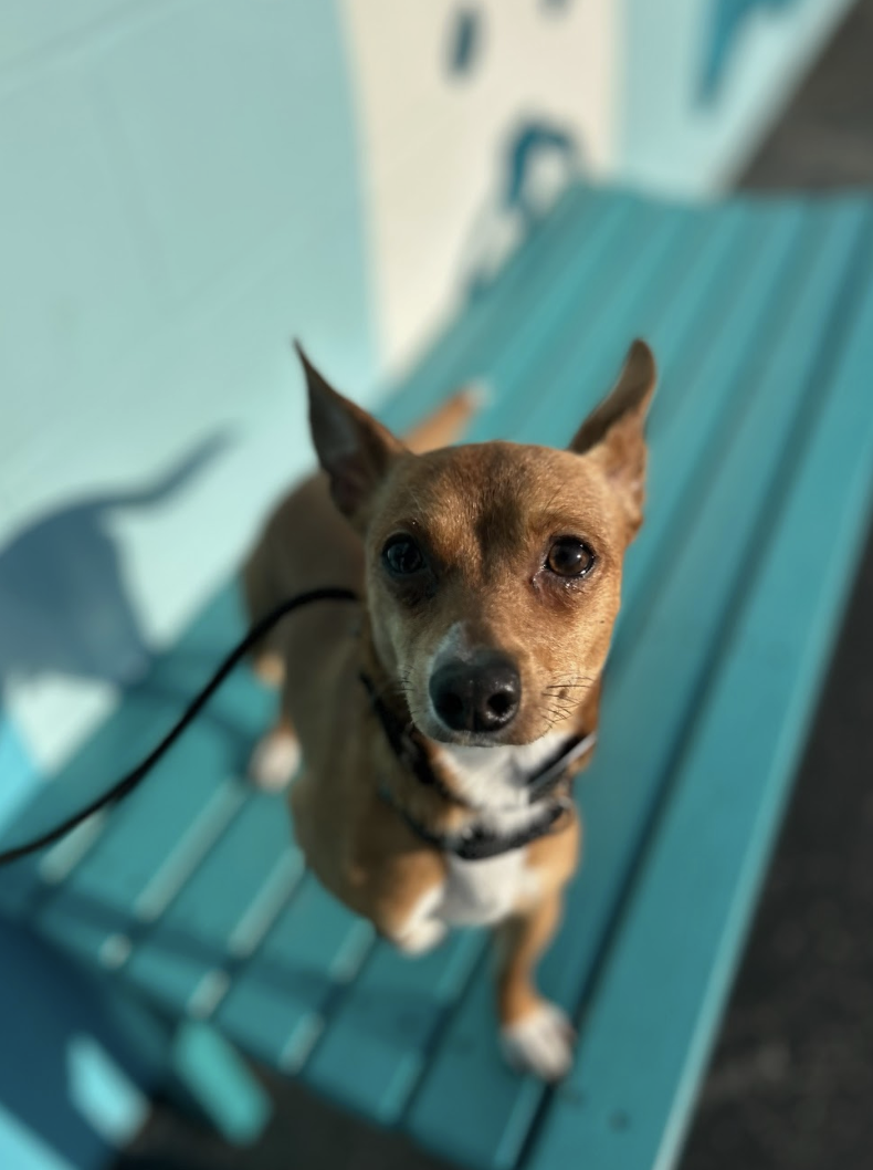 Screenshot 2026-02-25 at 12.53.55 PM.png