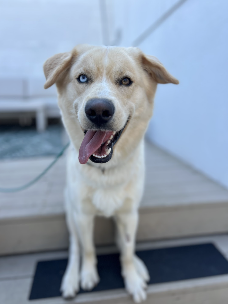 Screenshot 2026-02-27 at 4.39.13 PM.png