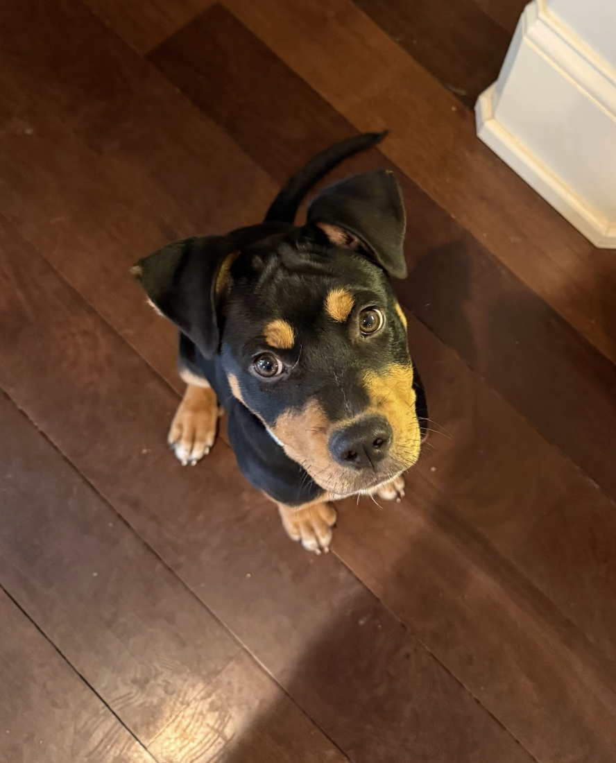 Screenshot 2026-02-27 at 2.14.24 PM.png