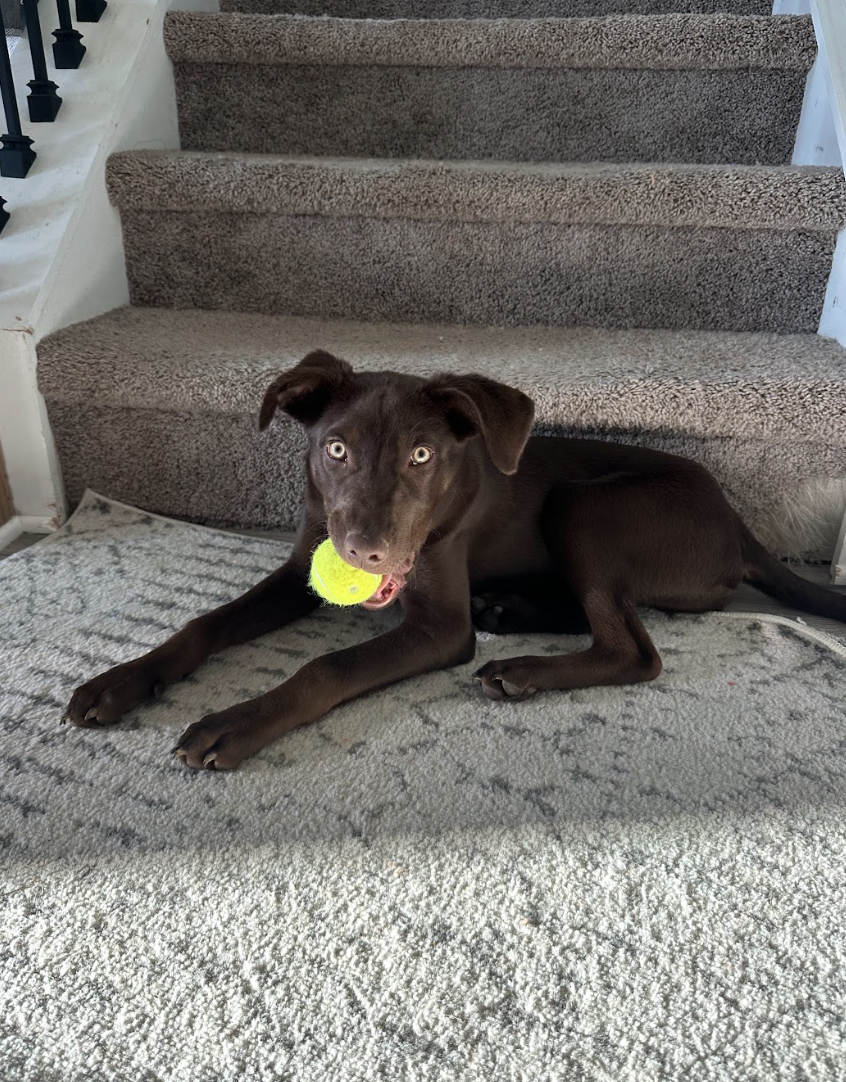 Screenshot 2026-04-23 at 7.54.08 PM.png