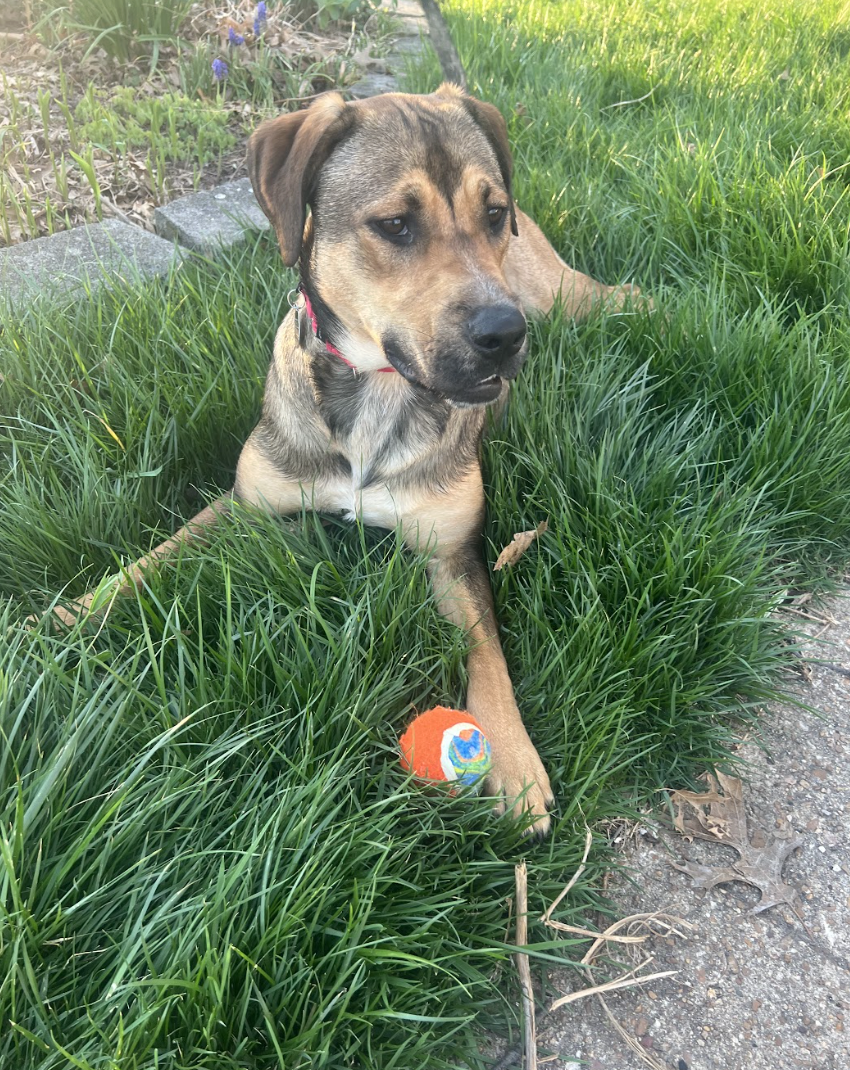 Screenshot 2026-04-22 at 4.23.54 PM.png