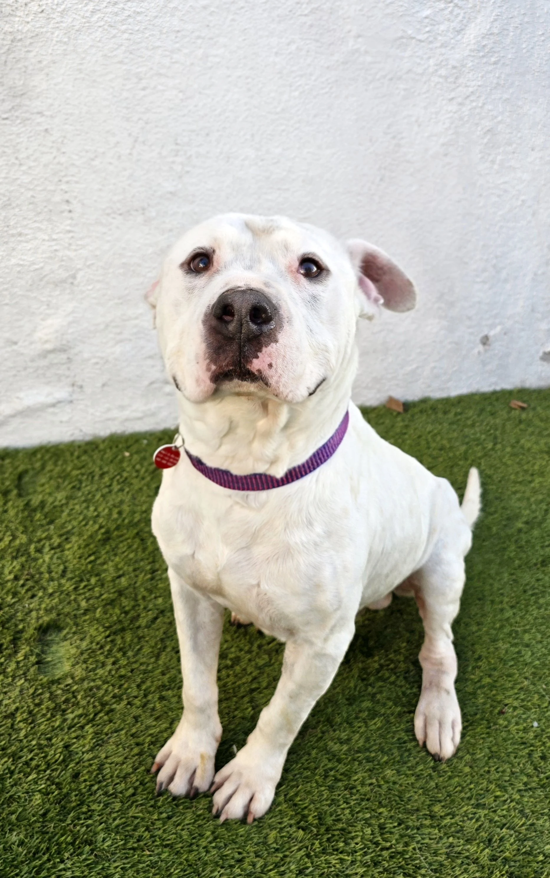 20251218_164420 (1).jpg