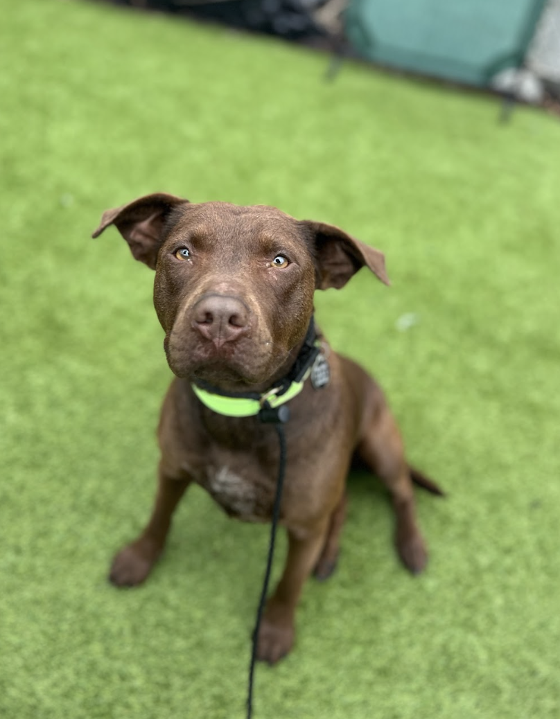 Screenshot 2026-02-19 at 7.26.13 PM.png