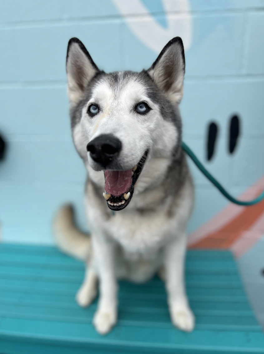 Screenshot 2026-03-11 at 6.45.31 PM.png