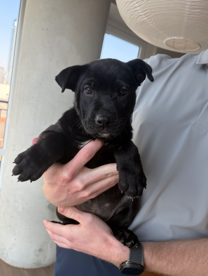 Screenshot 2026-03-30 at 12.57.07 PM.png