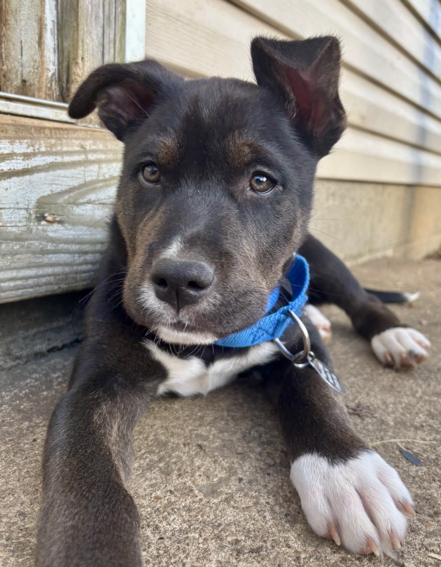 Screenshot 2026-02-20 at 12.25.16 PM.png