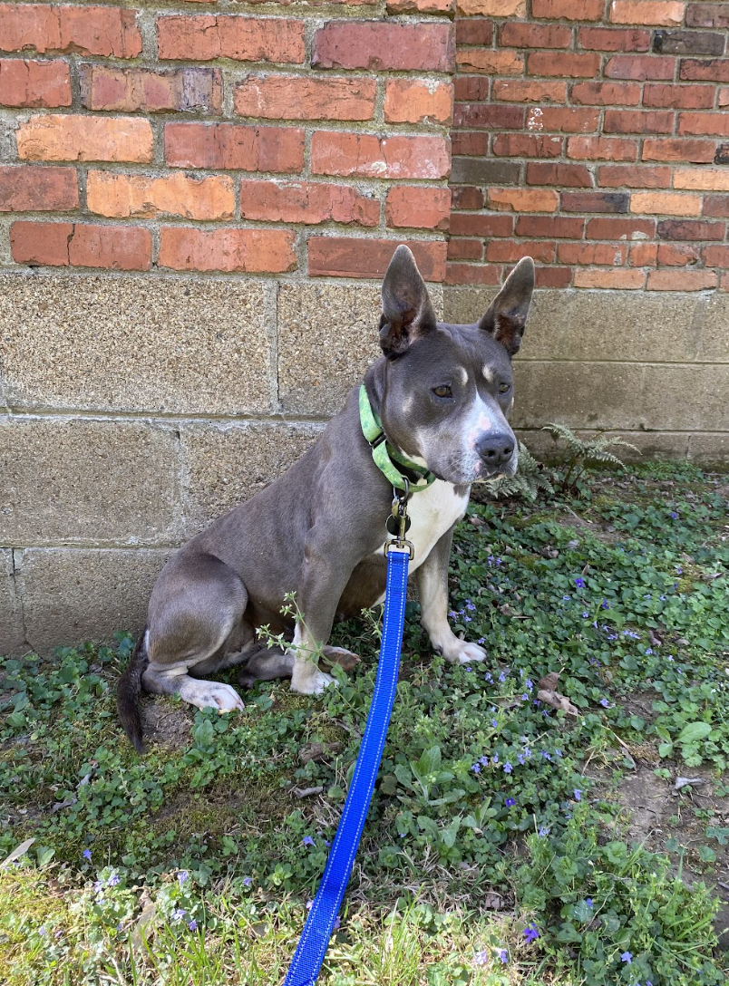 Screenshot 2026-04-14 at 3.09.30 PM.png