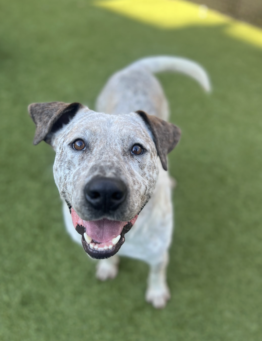 Screenshot 2026-02-27 at 6.29.58 PM.png