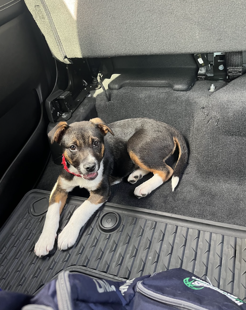 Screenshot 2026-02-27 at 12.53.49 PM.png