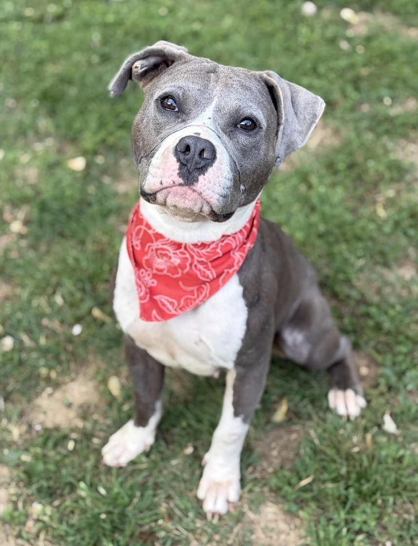 Screenshot 2026-04-20 at 1.20.27 PM.png