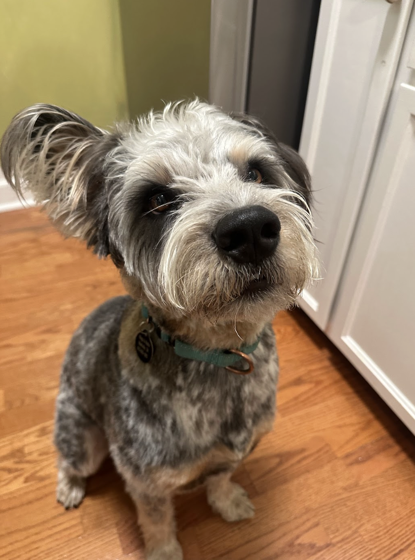 Screenshot 2026-04-22 at 6.01.03 PM.png