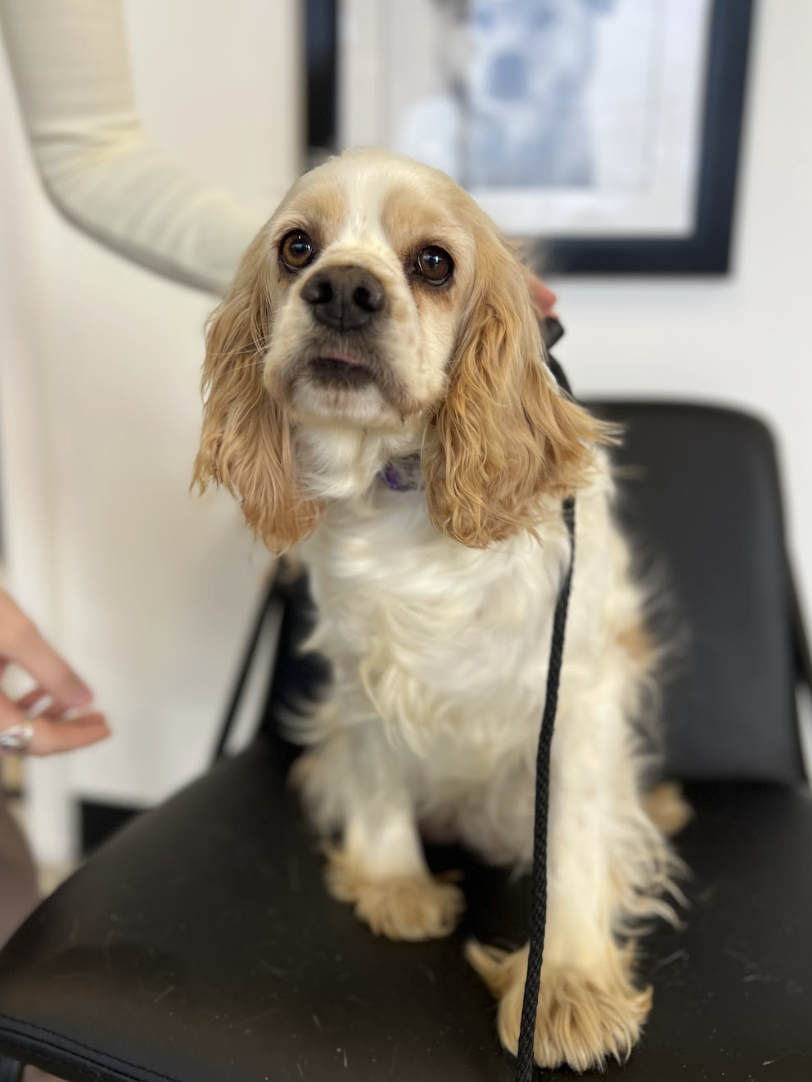 Screenshot 2026-03-21 at 2.22.27 PM.png